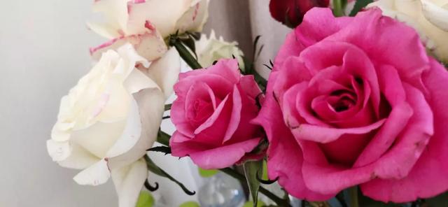 花都开好了,一切都会好的……