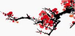 破阵子-疫情担当之逆风行者