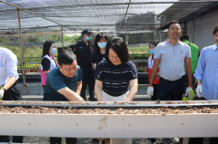 “开展农疗康复，助力社会融合”--长安镇第三期残疾人就业实践体验活动