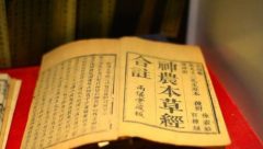 参旺康生命力野山人参饮品
