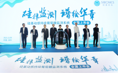 开启数字化血糖管理新时代—— 硅基动感持续血糖监测