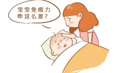 婴幼儿易生病？提升肠道免疫力是关键，就从圣维乐七联菌入手