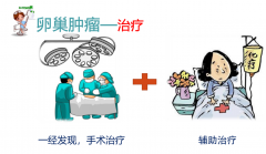 “珠联必合”妇科肿瘤菁英论坛：共探诊治新进展，携手提升诊疗水平