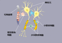 洞庭湖畔：共探新进展，携手推进多学科诊疗
