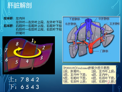 确诊肝瘟后怎么办