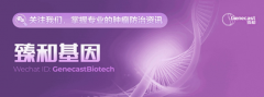 乳腺癌治疗：多维度突破与个体化精准策略
