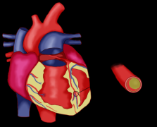 血管的 “隐形杀手” 就在身边！除了吃药，这样护心更稳妥