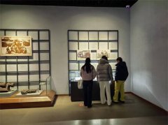 红岐薪火映初心，双源融合润乡土——山东中医药大学学子开展社会实践