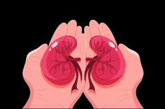 1.56亿中国肾友最关心的10个问题大公开